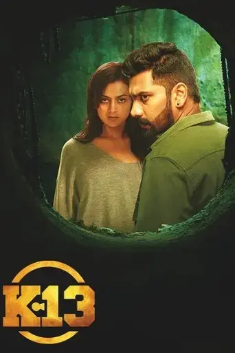 k-13-2019