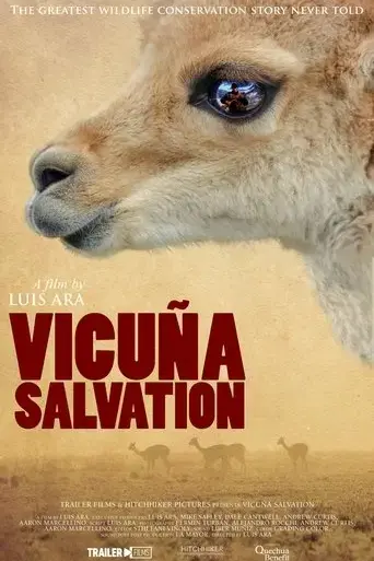 vicuna-salvation-2023