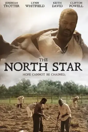the-north-star-2016