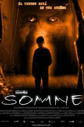 somne-2005