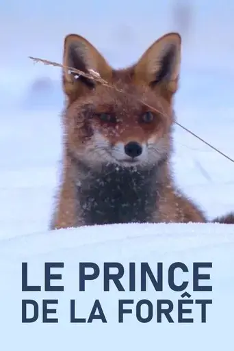 the-prince-of-the-forest-2024