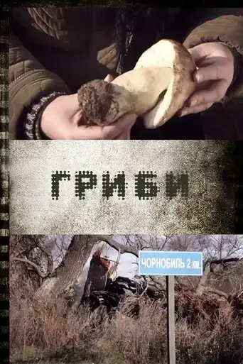 Hryby (2012)