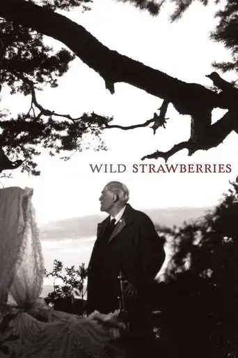 wild-strawberries-1957