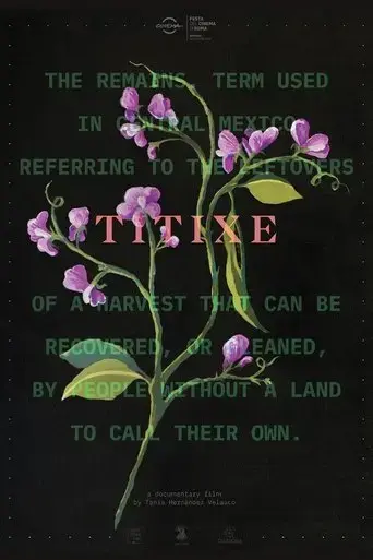 titixe-2018