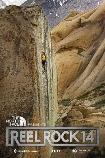 the-high-road-2019