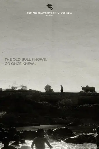 the-old-bull-knows-or-once-knew-2025