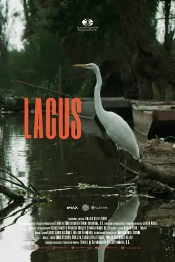 lacus-2018