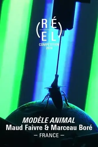 animal-model-2024