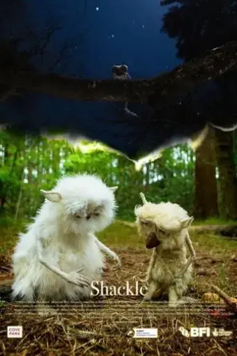 shackle-2022