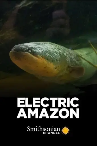 electric-amazon-2015