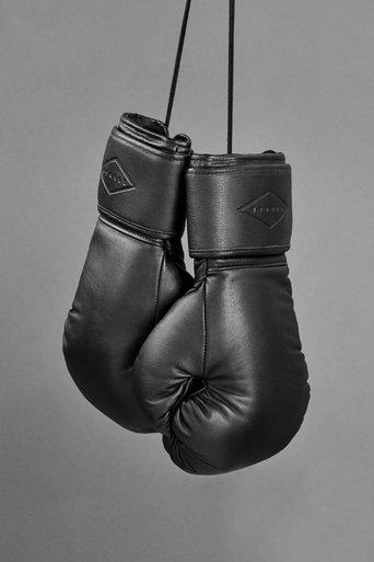 the-boxer-2025
