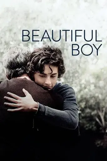 beautiful-boy-2018