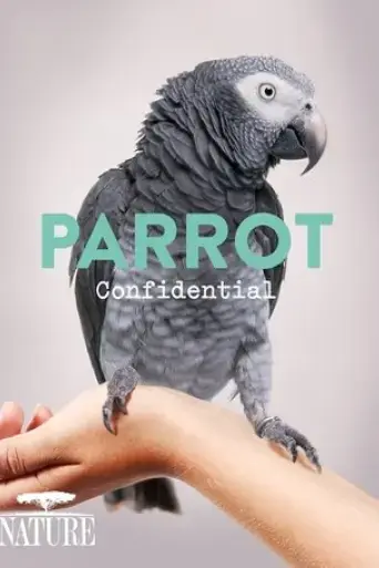 parrot-confidential-2013
