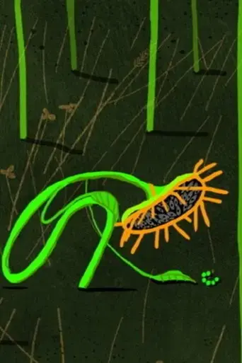 sunflower-2022