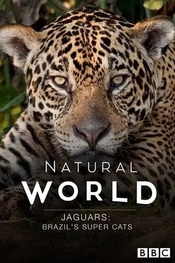 jaguars-brazil-s-super-cats-2016