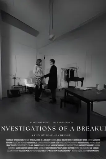 investigations-of-a-breakup-2025