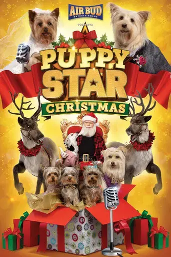 puppy-star-christmas-2018