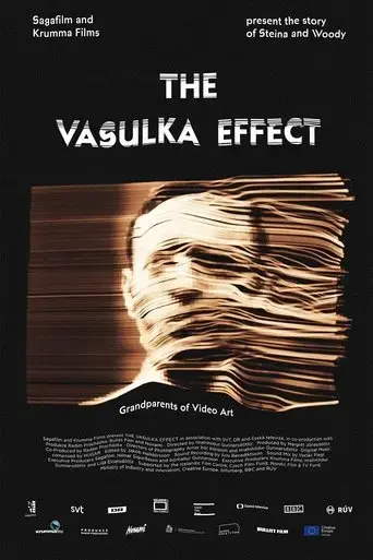 the-vasulka-effect-2020
