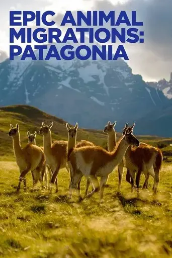 epic-animal-migrations-patagonia-2023