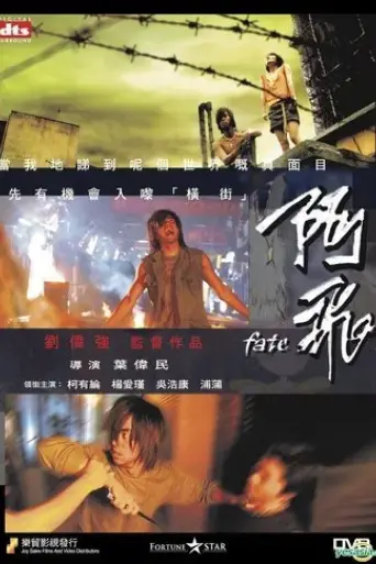 fate-2008