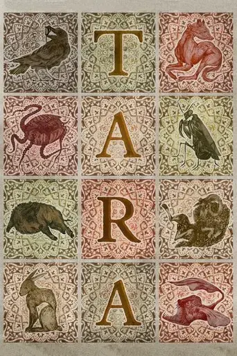 tara-2023