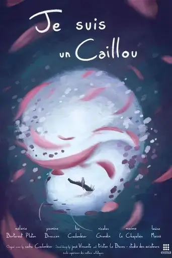 je-suis-un-caillou-2020