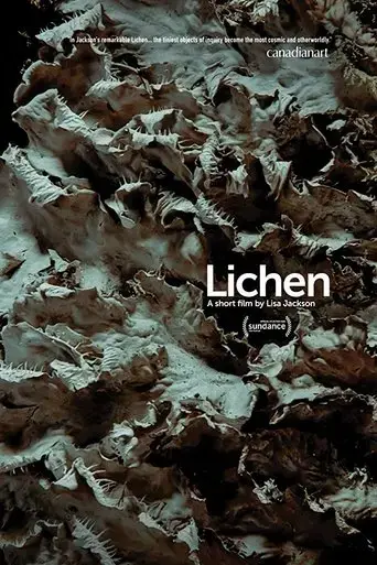 lichen-2019