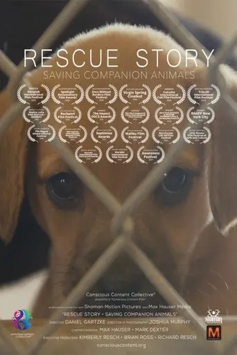 Rescue Story - Saving Companion Animals (2020)
