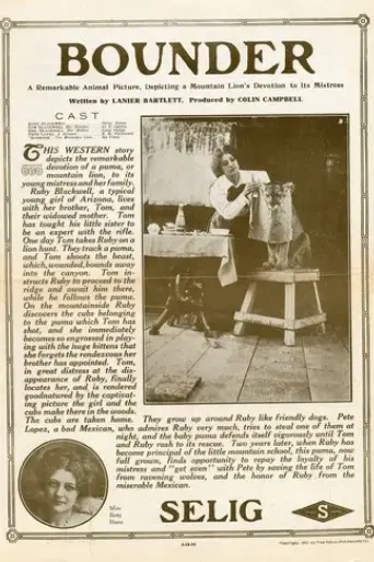Bounder (1912)