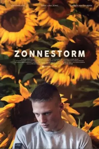 zonnestorm-2019