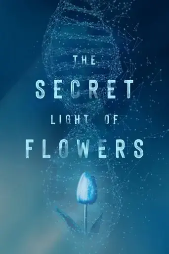 the-secret-light-of-flowers-2023