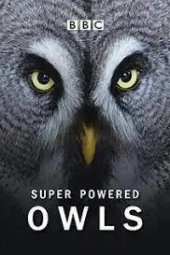 super-powered-owls-2015