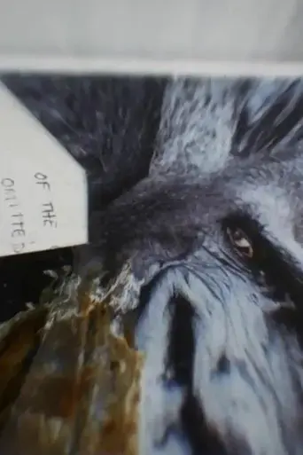 i-remember-depth-of-flatten-cruelty-2024