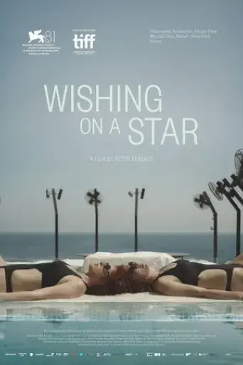 wishing-on-a-star-2024