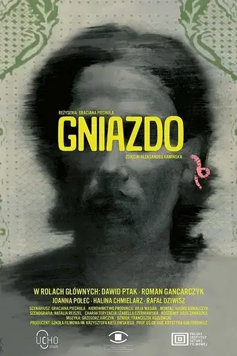 gniazdo-2021