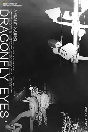 dragonfly-eyes-2017