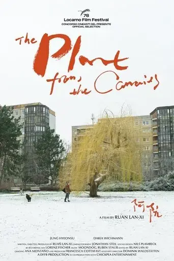 the-plant-from-the-canaries-2025
