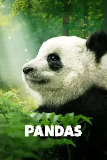 pandas-2018