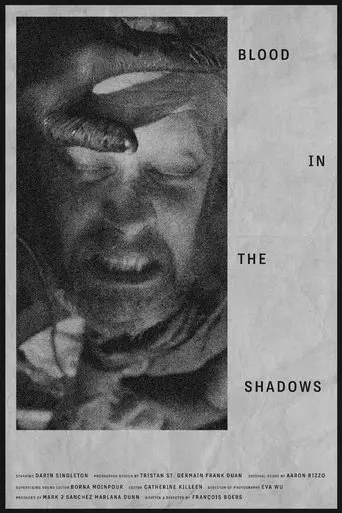 Blood in the Shadows (2025) Poster