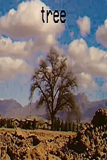 sora-and-the-big-tree-2025
