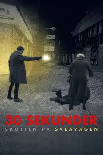 30-sekunder-skotten-pa-sveavagen-2023