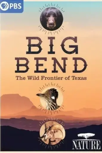 big-bend-the-wild-frontier-of-texas-2021