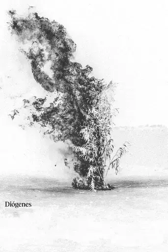 diogenes-2024