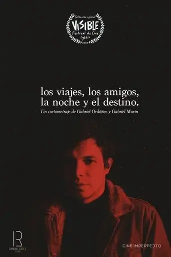 trips-friends-night-destiny-2021