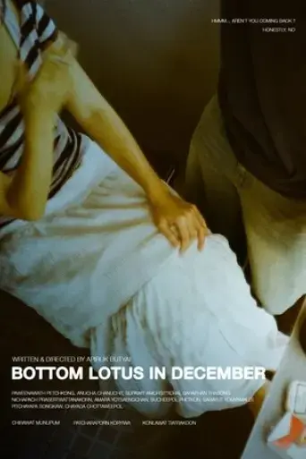 bottom-lotus-in-december-2025