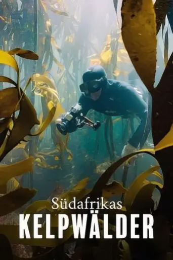 der-kelpwald-sudafrikas-geheimnisvolle-unterwasserwelt-2025