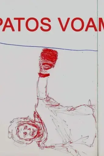 patos-voam-2015