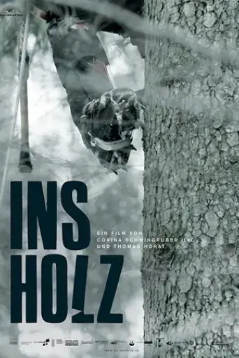in-the-woods-2017