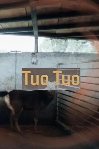 tuo-tuo-2022