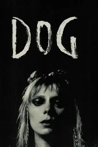 dog-2024